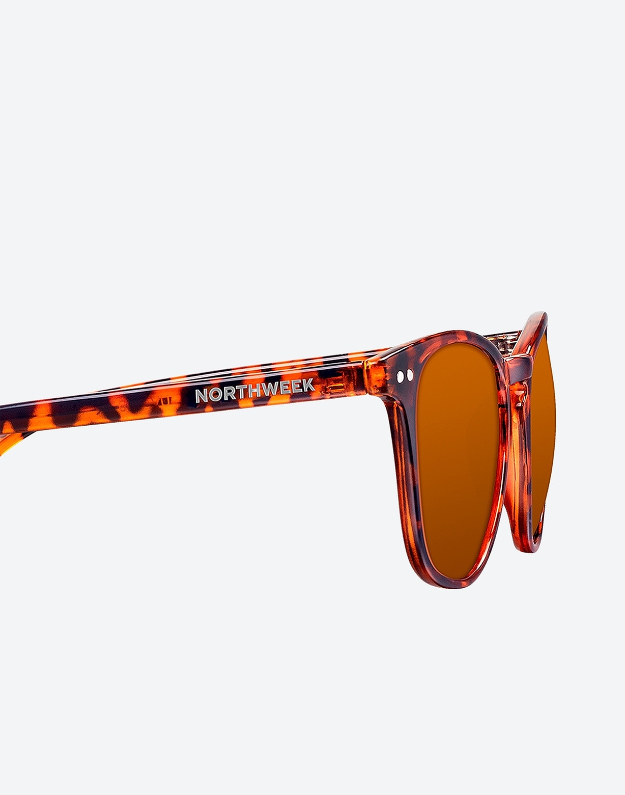 WALL SHINE TORTOISE - AMBAR POLARIZED 1 WALL SHINE TORTOISE - AMBAR POLARIZED